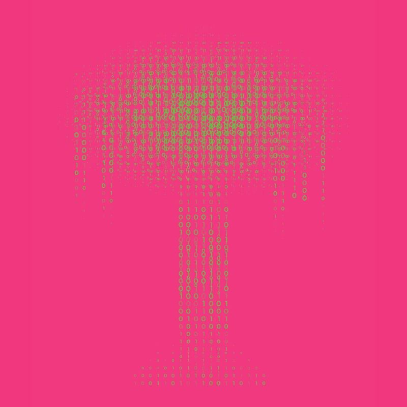 Binary Tree Encoding Computer Programmer