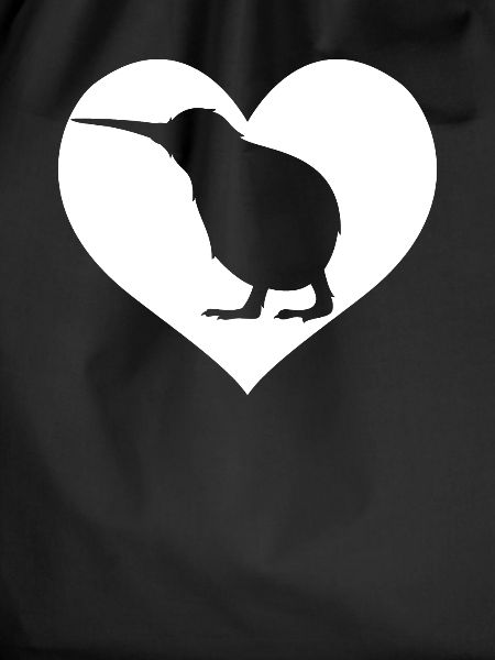 Kiwi Bird