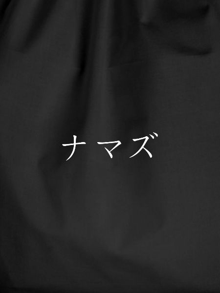 Wels Japanese