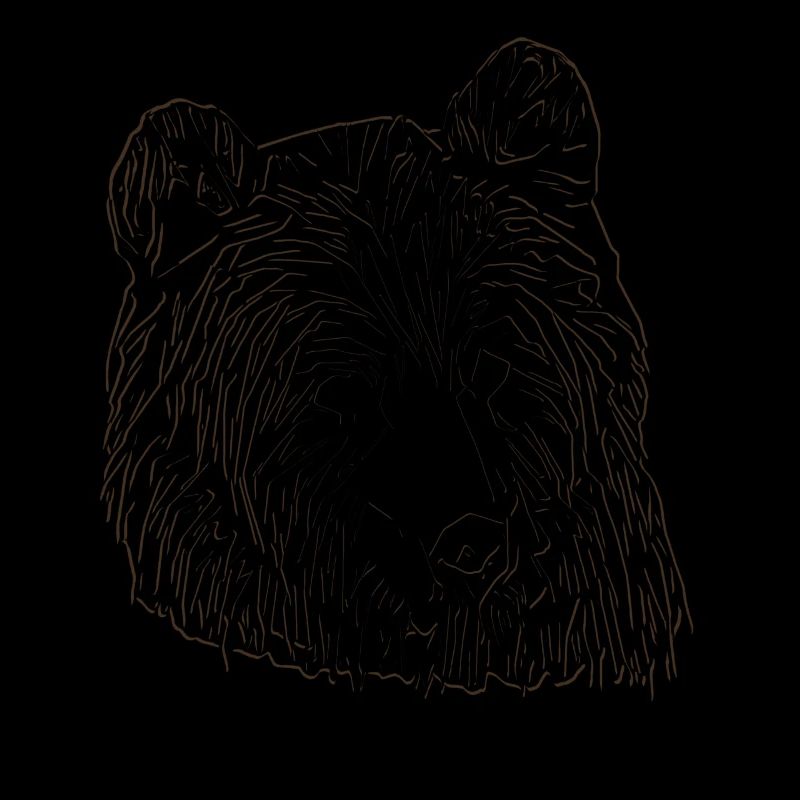 Bären tier motiv Tiergesicht