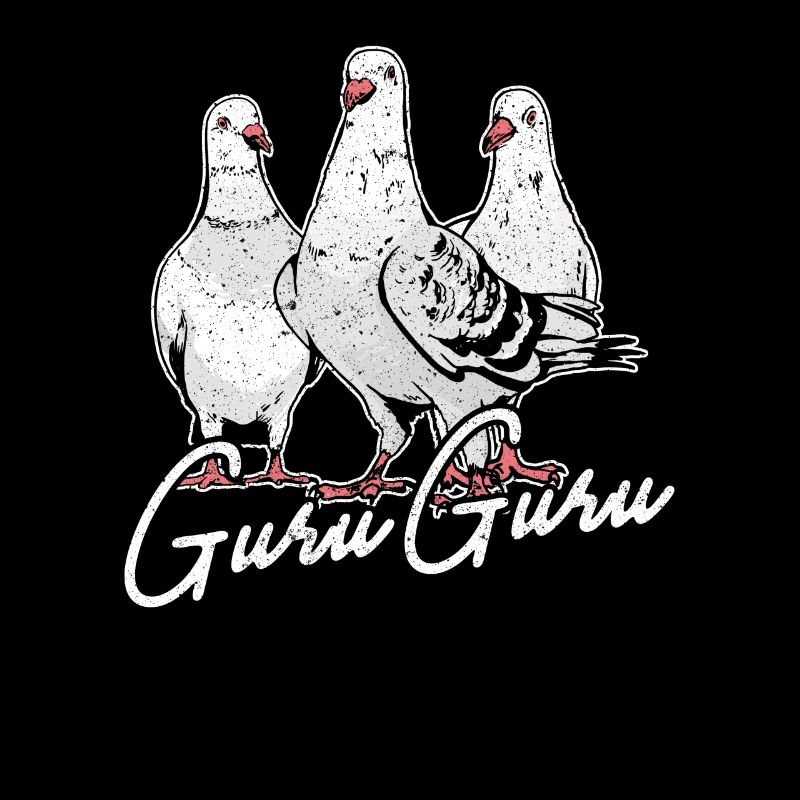 Brieftauben Guru Guru Tauben