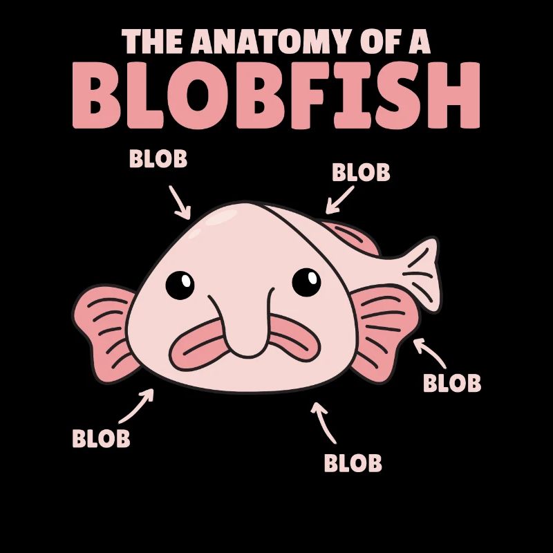 Blobfish Explanation Anatomy of an Blobfish