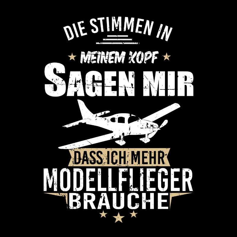 Modellbau Flugzeug Modellflug