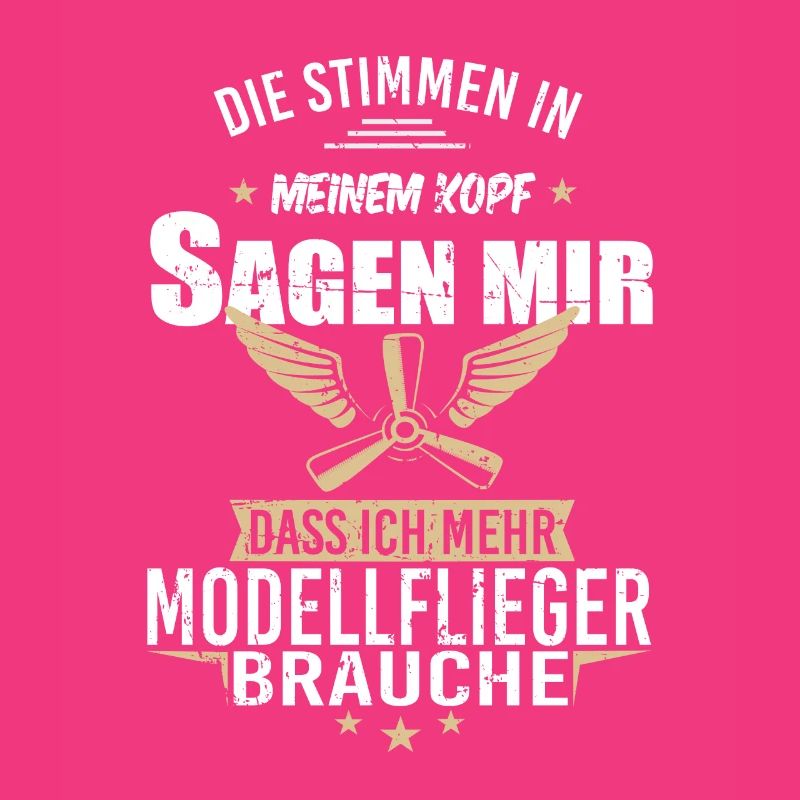 Modellbau Flugzeug Modellflug