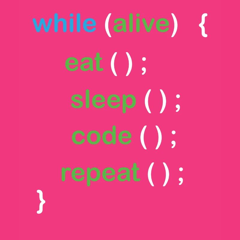 Python Coding Software Developer
