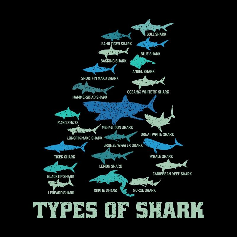 Requin