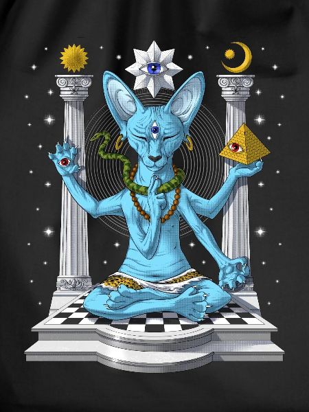 Sphynx Cat Psychedelic Shiva