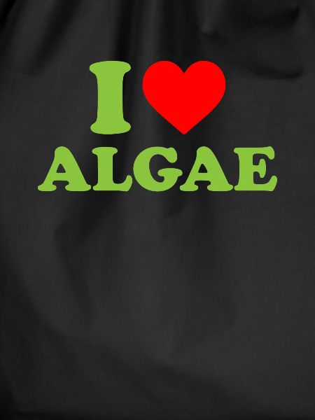 I love algae, algae diatom