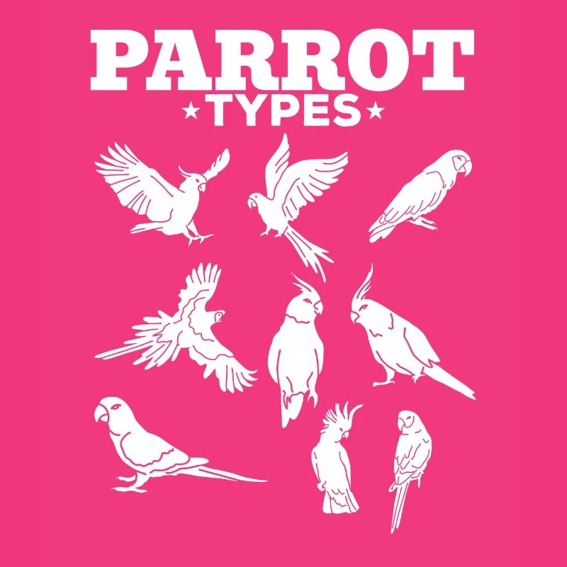 Parrot types Parrots Macaws Cockatiels