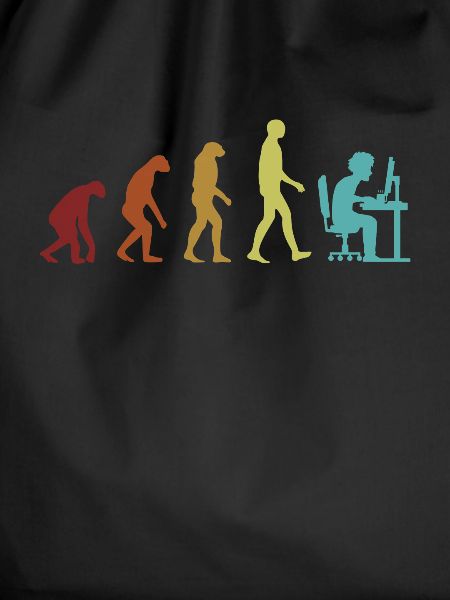 Programmer Evolution Softwareingenieur Coder