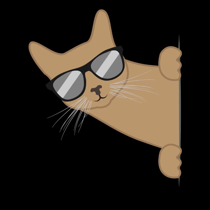 Cat With Sunglasses Funny Kitten Gift