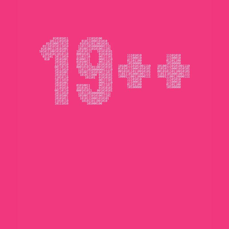 19++ Programmierer Softwareingenieur Coder 20.