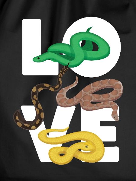 Snake Serpent Love
