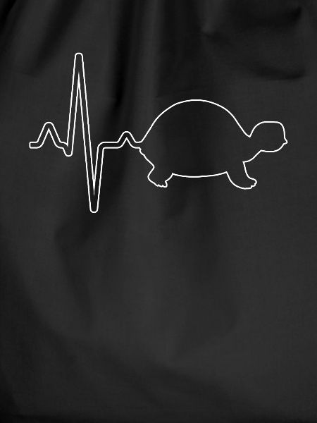 Turtle Heartbeat