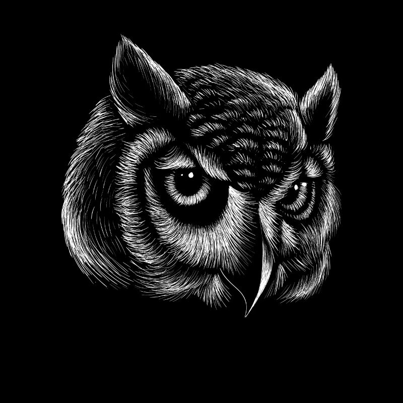 Owl Lines Realistic Drawing Owl Art