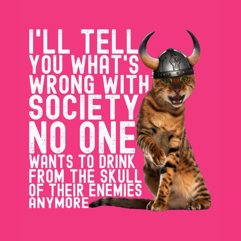 Wikinger Katze