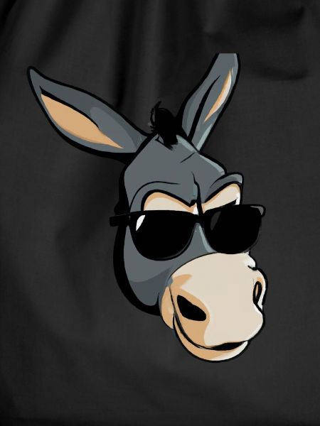 Cool donkey with sunglasses