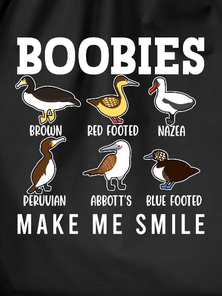 Funny Booby Seabirds Collection