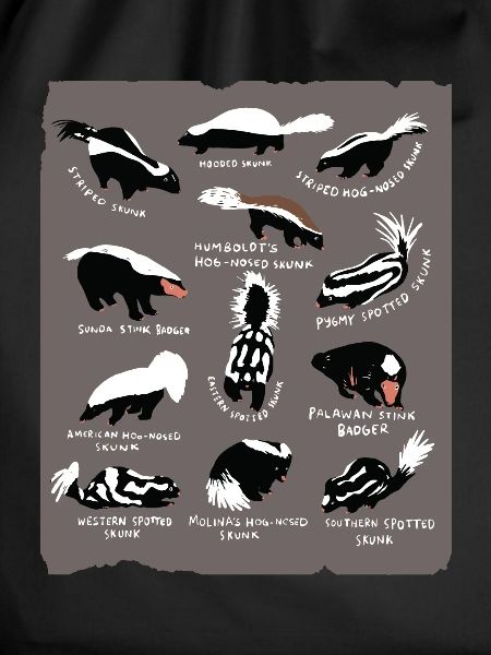 Skunk
