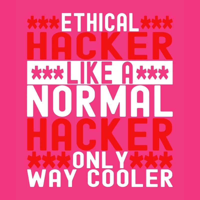 Programmeur Cybersécurité