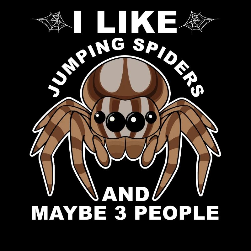 Dicton Jumping Spider