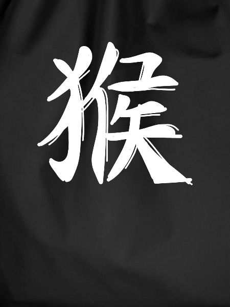 Monkey Chinese Zodiac Sign