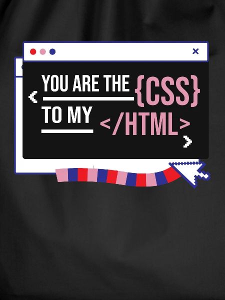 Software Developer Engineer
