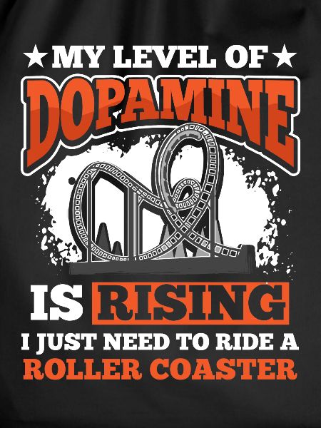 Park Riding Roller Coaster