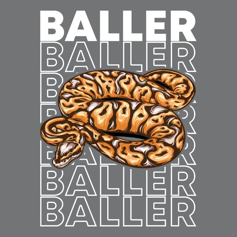 Ball Python 80's Style Baller Royal Python Snake