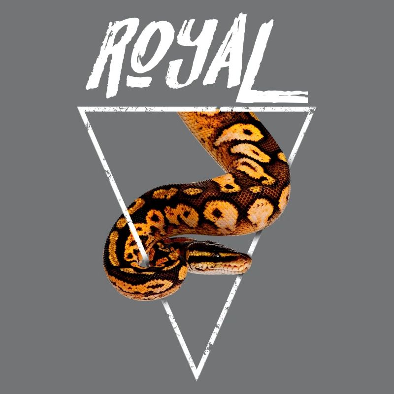 Royal Ball Python Propriétaire