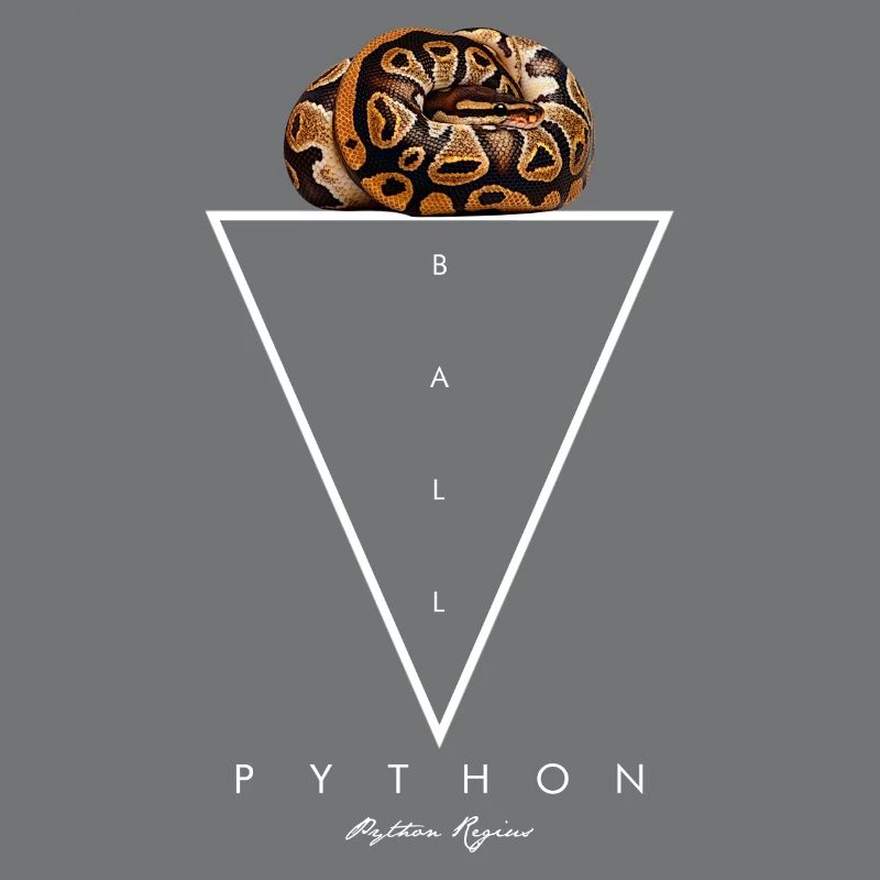 Ball Python Geometric Modern Snake Keeper