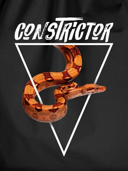 Boa Constrictor Geometric