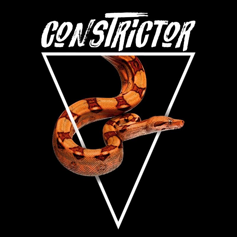 Boa Constrictor Geometrisch
