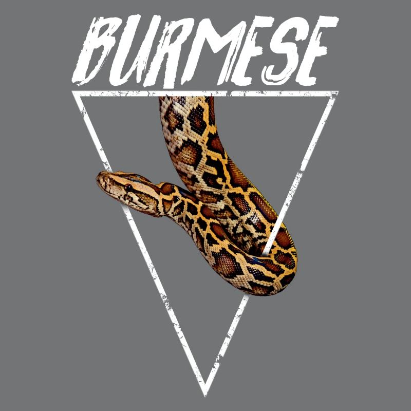 Burmesischer Python Besitzer Geometrisch