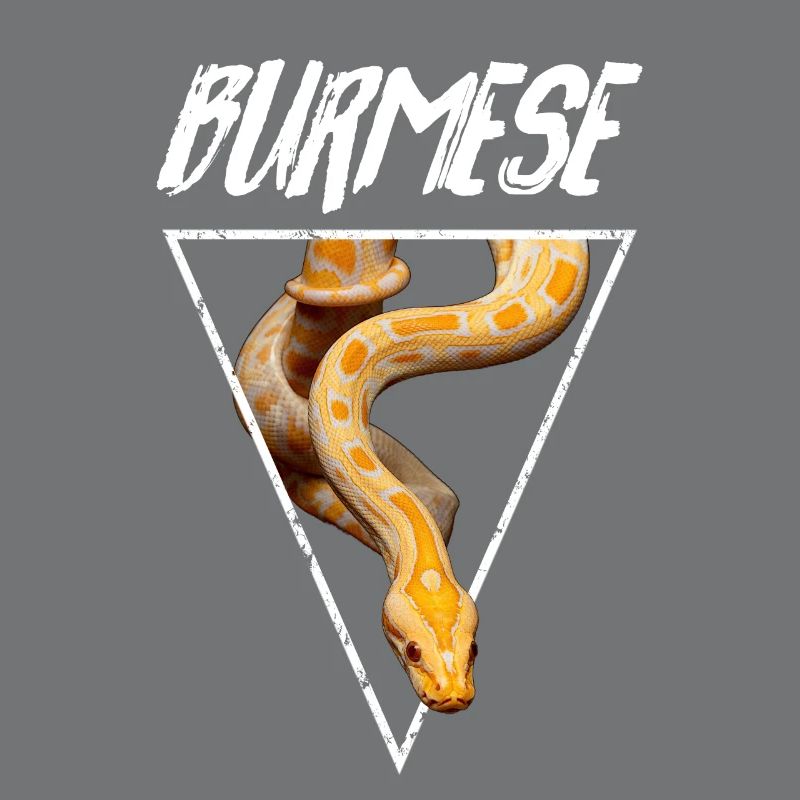 Propriétaire de serpent Python birman