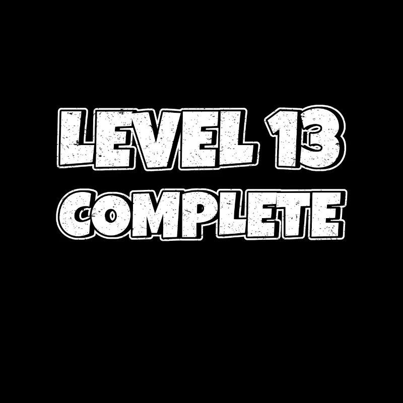 Level 13 Complete Birthday Gift 13 Years