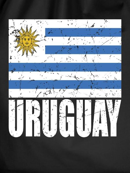 Uruguay Flag