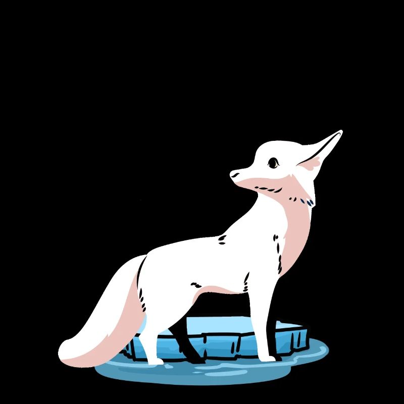 Wildlife Arctic North Pole Fox Foxes Child Polar