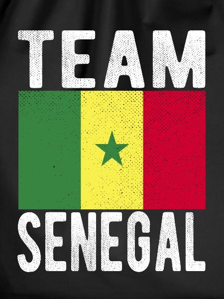 Senegal Flag