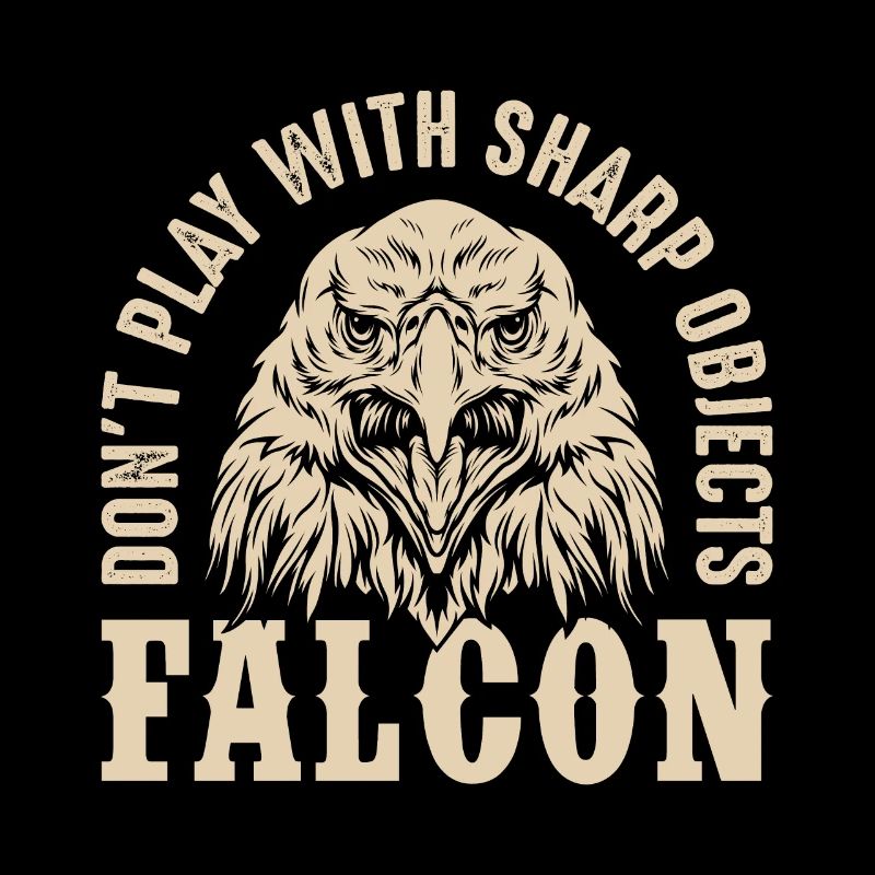 Falcon Sharp objects Falconry Eagle Goshawk Falk