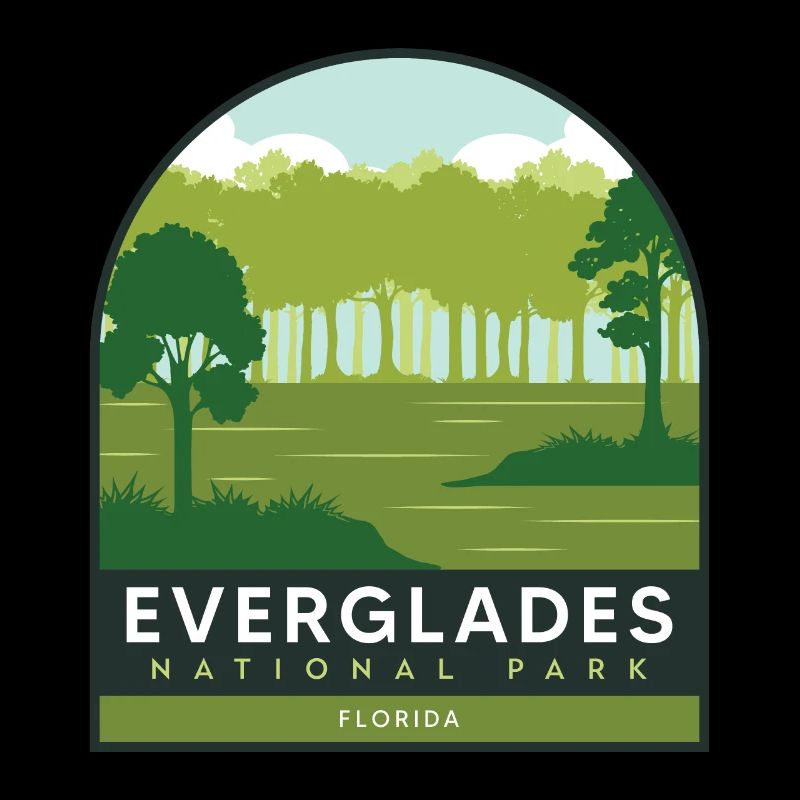 Florida National Park Everglades Crocodile Wandersou