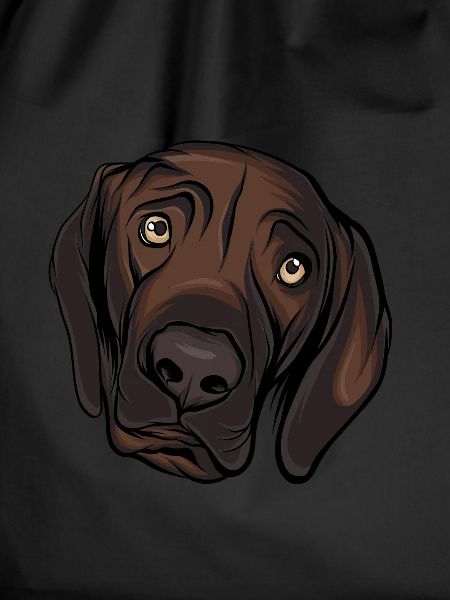 Labrador