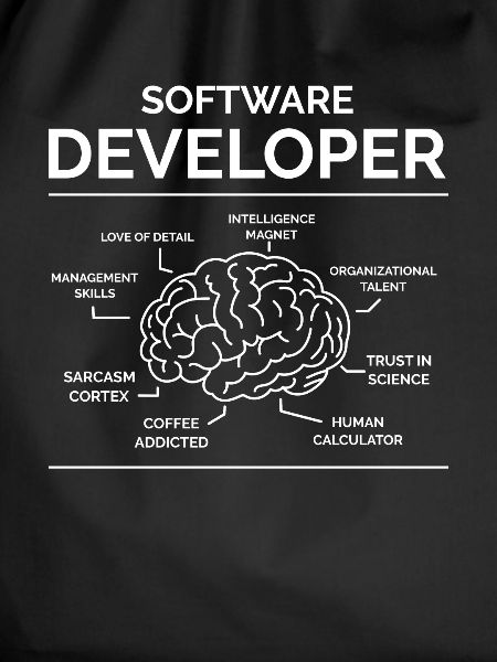 Software Entwickler