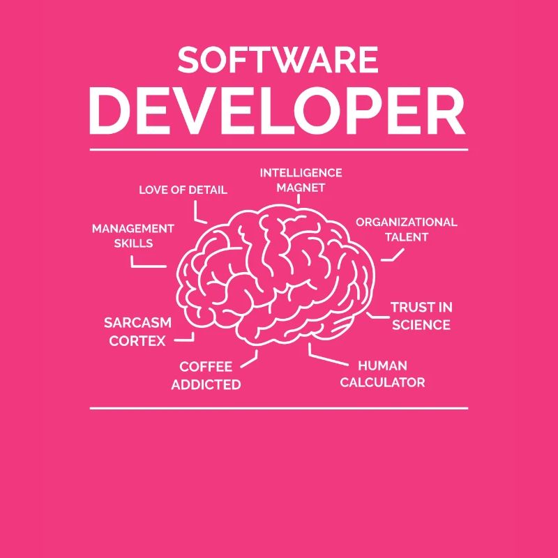 Software Developer