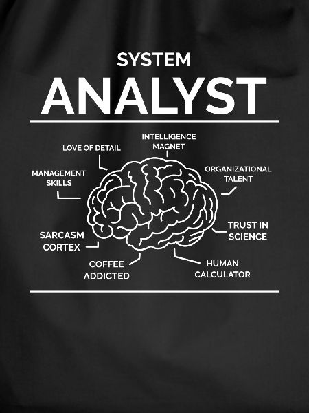 Systems analyst