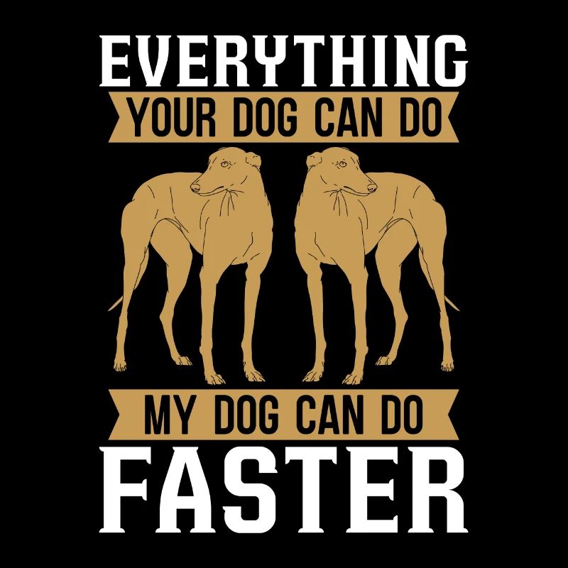Greyhound Racing Everything Your Greyhound Racer