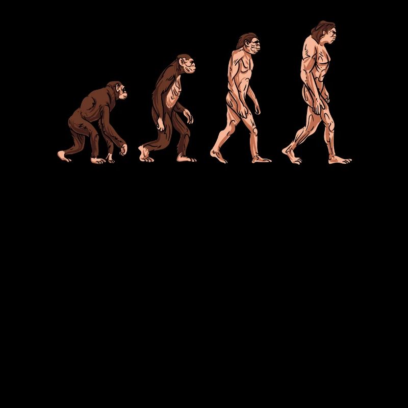 Human evolution