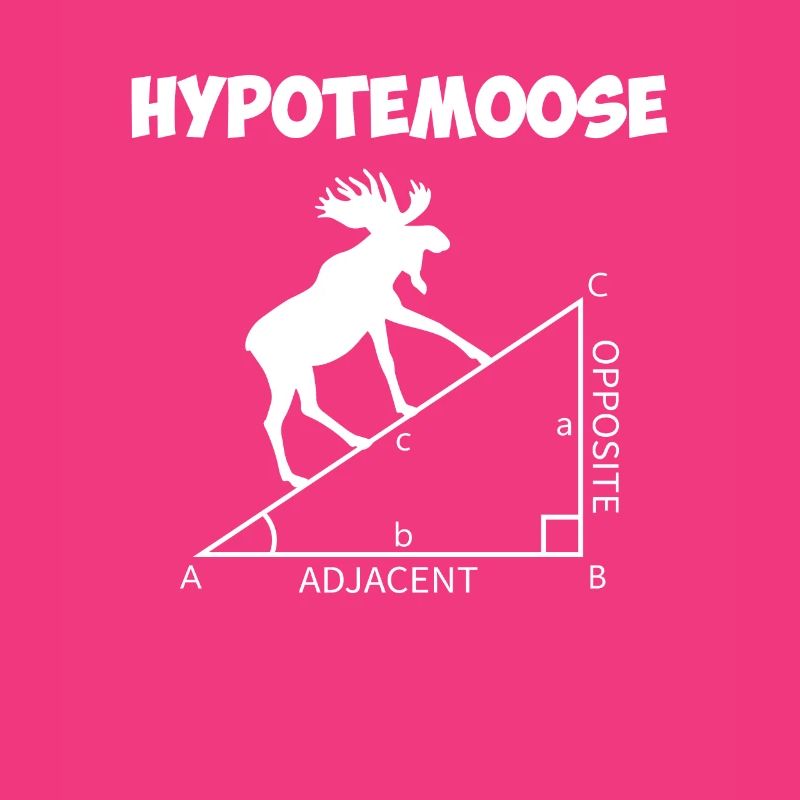 hypotemoose, math teacher hypotemoose