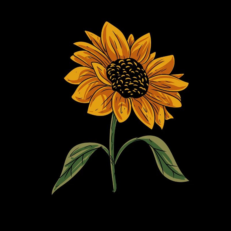 Sunflower Flower