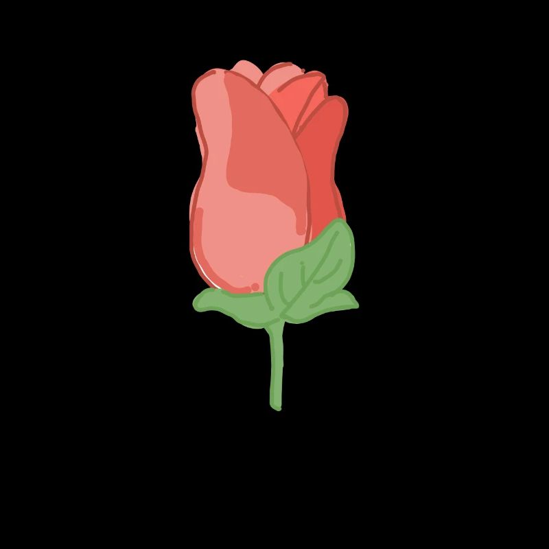 Rose Red Rose Hand-drawn